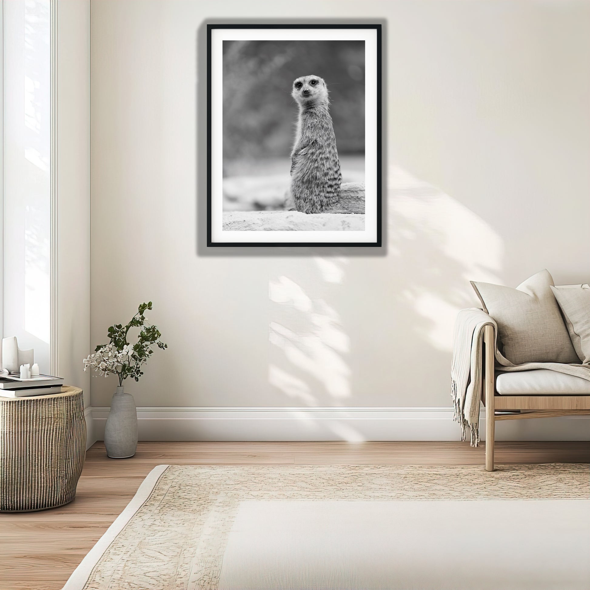 Black and White Meerkat Portrait