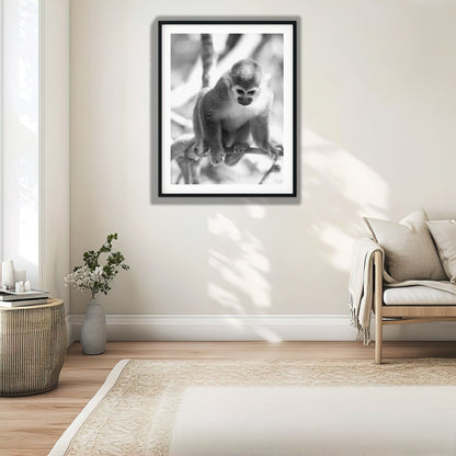 Curious Squirrel Monkey Wall Art