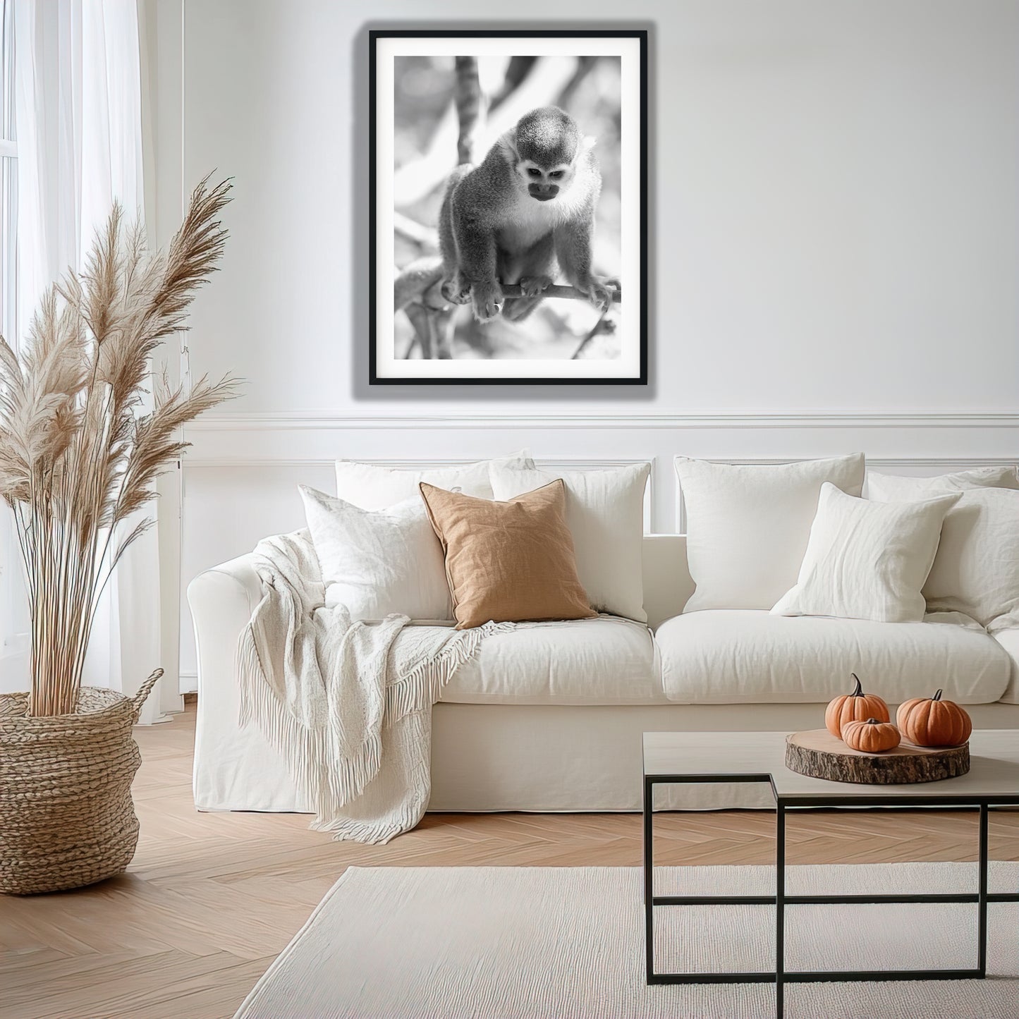 Curious Squirrel Monkey Wall Art