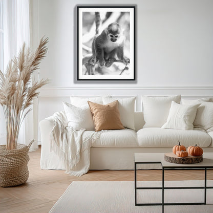 Curious Squirrel Monkey Wall Art