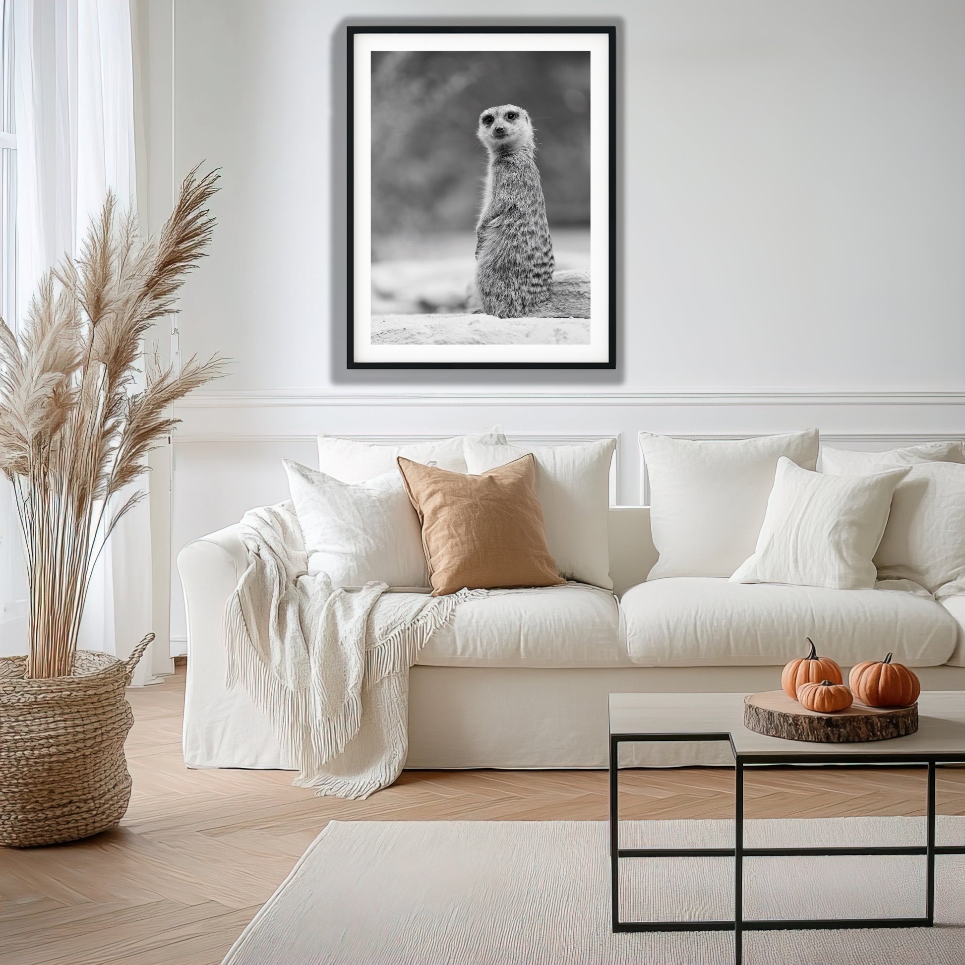 Black and White Meerkat Portrait